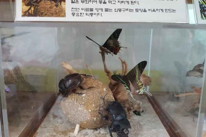 세산곤충체험농장 여행 추천 - 메고지고