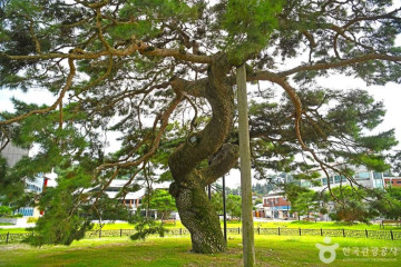 창계서원 여행 추천 - 메고지고