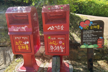 구미에코랜드 여행 추천 - 메고지고