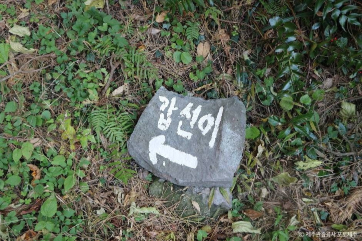 갑선이오름 여행 추천 - 메고지고