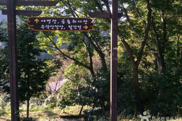 주작산자연휴양림 여행 추천 - 메고지고