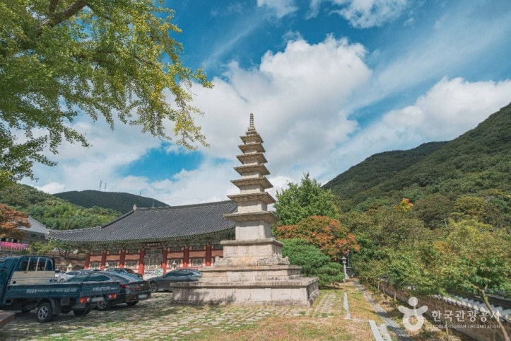 범어사(부산) 여행 추천 - 메고지고