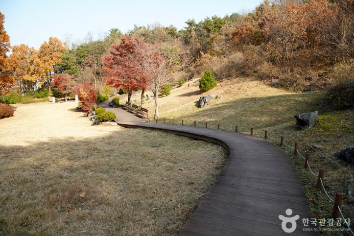 천곡천연동굴 자연학습체험공원 여행 추천 - 메고지고