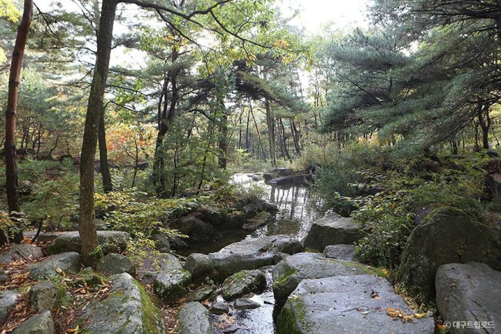 비슬산군립공원 여행 추천 - 메고지고