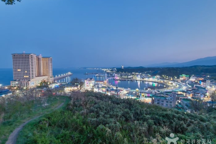 대포항 전망대 여행 추천 - 메고지고