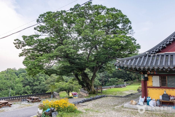 청련사(강화) 여행 추천 - 메고지고