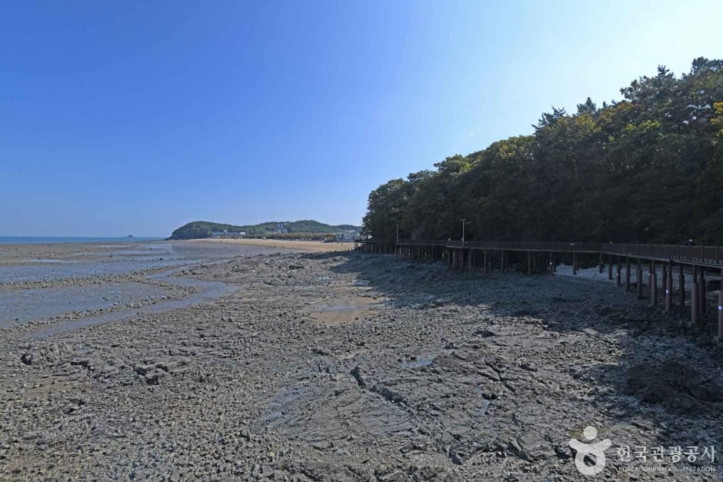 영흥도 십리포해변 여행 추천 - 메고지고