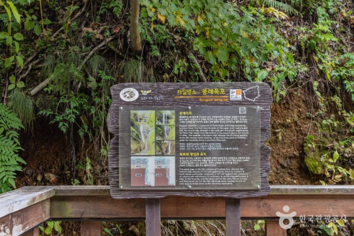 봉래폭포 (울릉도, 독도 국가지질공원) 여행 추천 - 메고지고