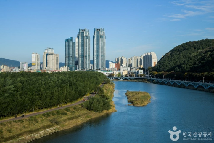 태화강 여행 추천 - 메고지고