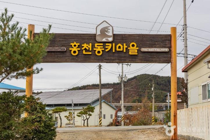 홍천동키마을 여행 추천 - 메고지고