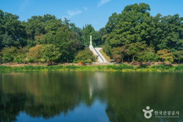 충주시 반려동물 놀이터 여행 추천 - 메고지고