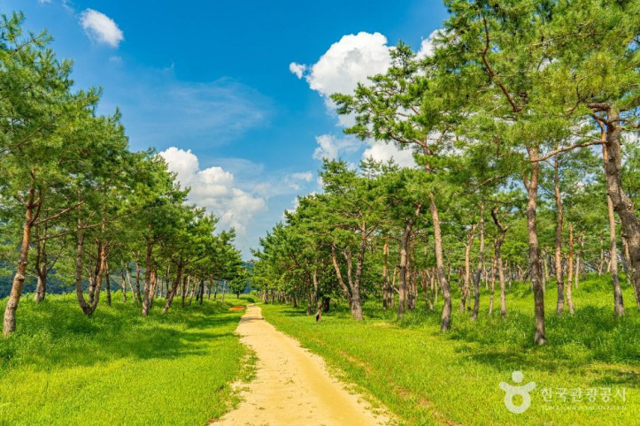 공주 고마나루 여행 추천 - 메고지고