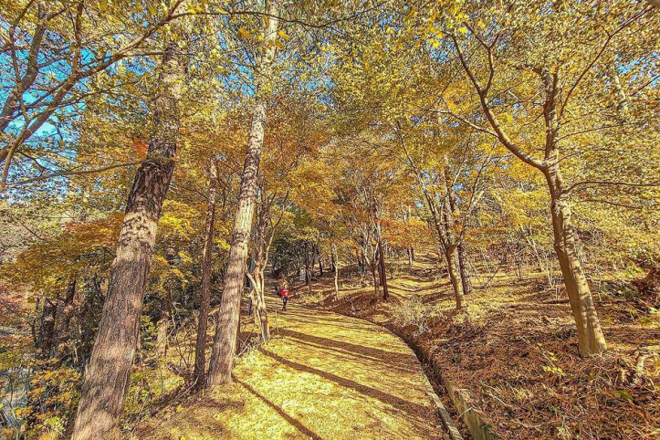 비봉산(안성) 여행 추천 - 메고지고