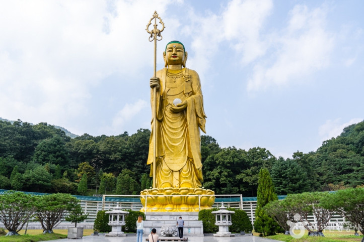 미타사(음성) 여행 추천 - 메고지고