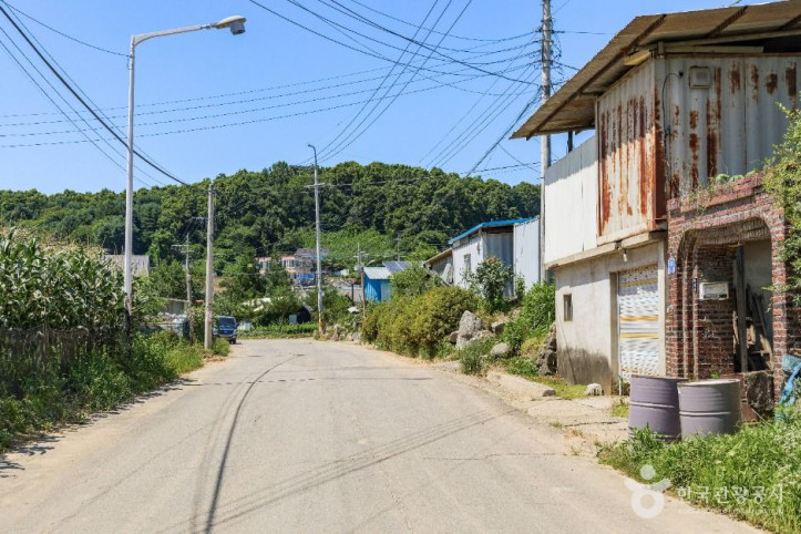 연천 나룻배마을 여행 추천 - 메고지고