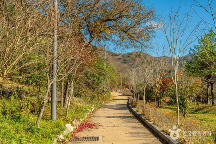 세량지 여행 추천 - 메고지고