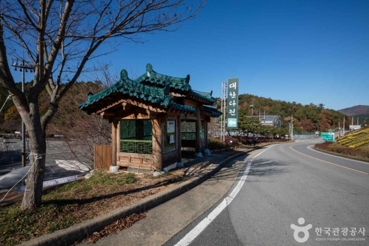 대한다원 여행 추천 - 메고지고
