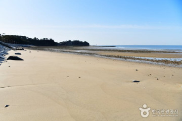[태안 해변길 5코스] 노을길 여행 추천 - 메고지고