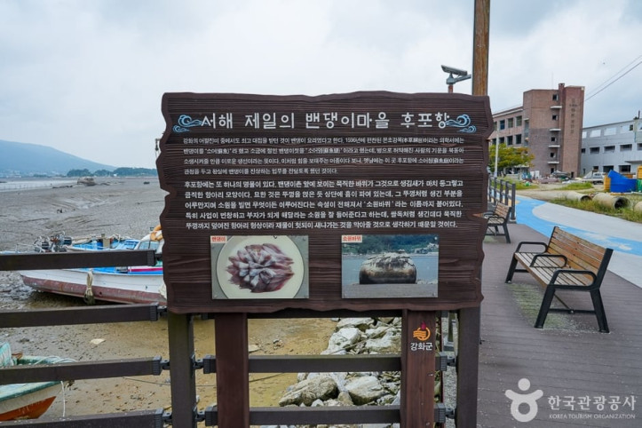 후포항 선수포구 여행 추천 - 메고지고