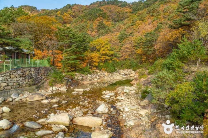 설악산 오색주전골 여행 추천 - 메고지고