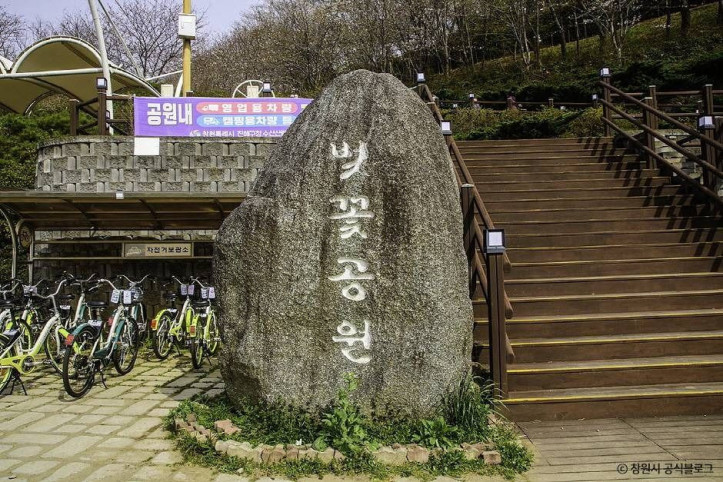 진해 벚꽃공원 여행 추천 - 메고지고