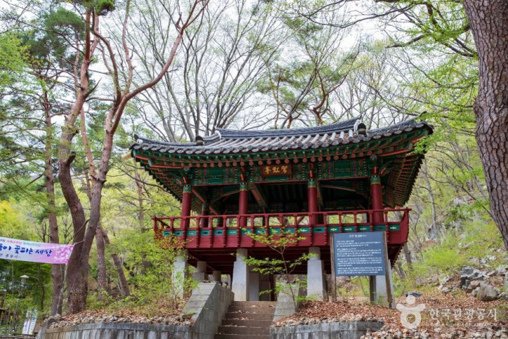 홍룡사(양산) 여행 추천 - 메고지고