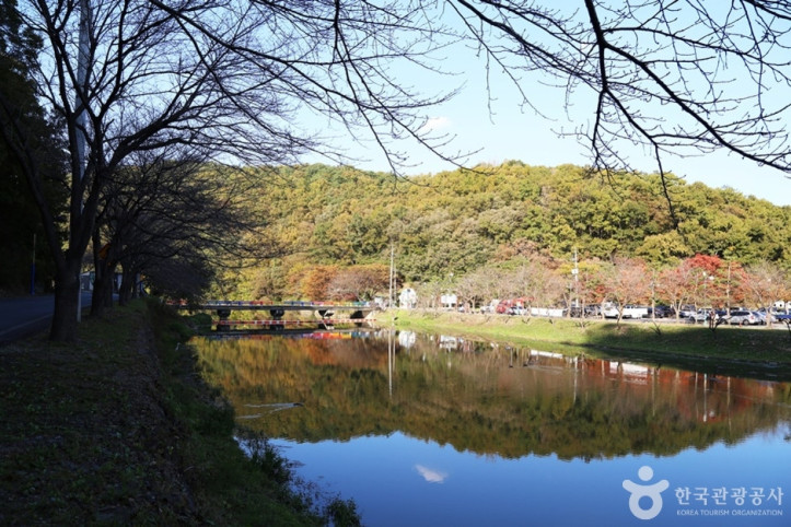 입곡 저수지 드라이브길 여행 추천 - 메고지고