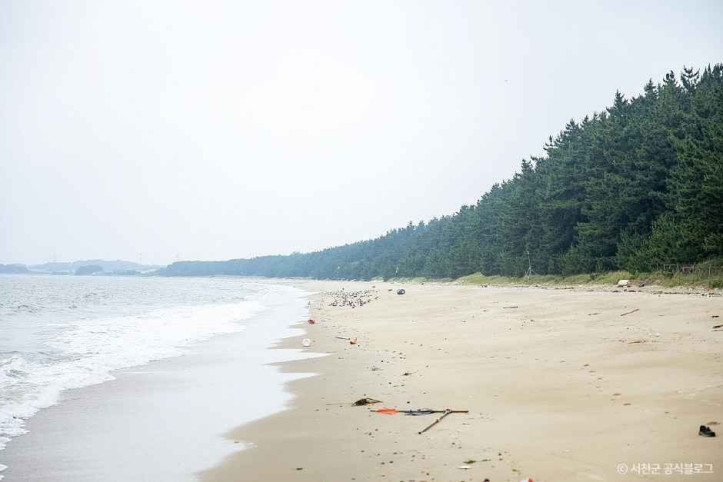 띠섬목해변 여행 추천 - 메고지고
