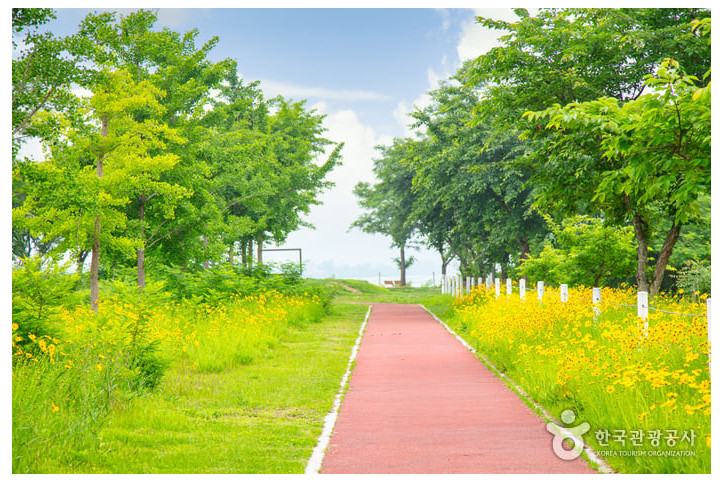 하중도수변생태공원 여행 추천 - 메고지고