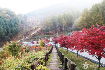 지안재 여행 추천 - 메고지고