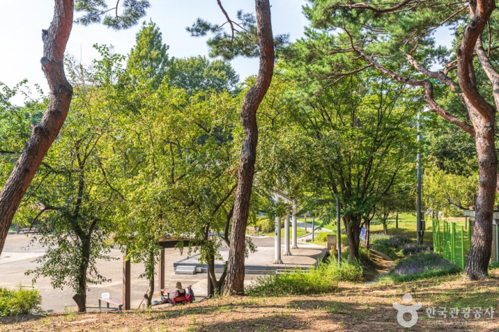 청주 발산공원 여행 추천 - 메고지고