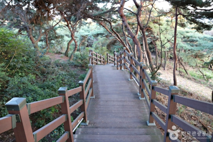 배산체육공원 여행 추천 - 메고지고