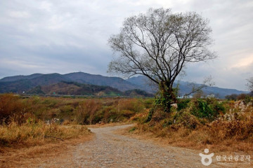 충주 석보군 묘소 여행 추천 - 메고지고