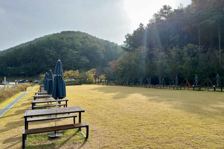 무봉산 자연휴양림 여행 추천 - 메고지고