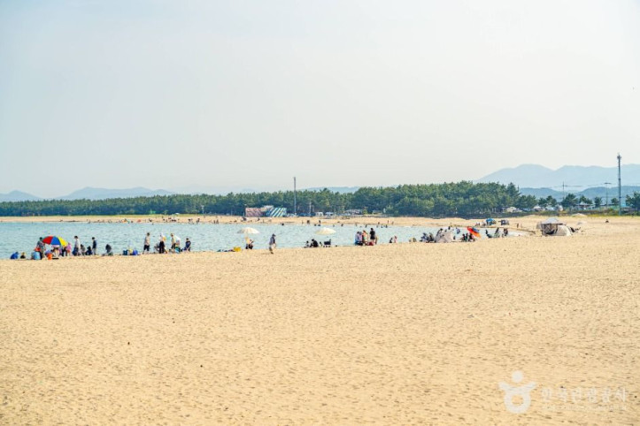 고래불해수욕장 여행 추천 - 메고지고