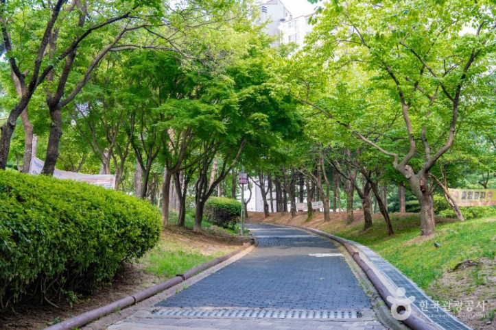 비둘기공원 여행 추천 - 메고지고