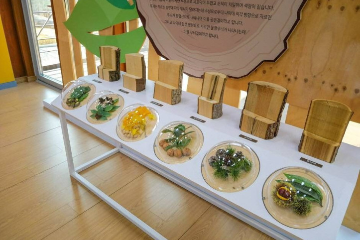 합천목재문화체험장 여행 추천 - 메고지고