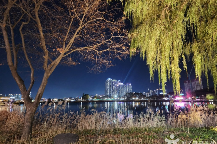 수성못 유원지 여행 추천 - 메고지고