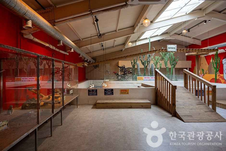 쥬쥬랜드 여행 추천 - 메고지고