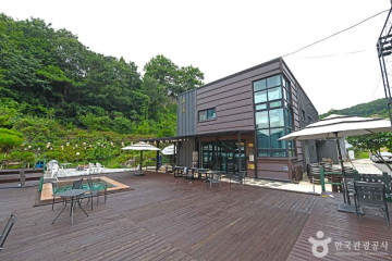 산막와이너리 여행 추천 - 메고지고