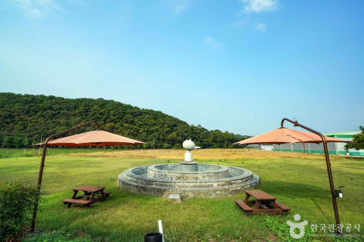 사천녹차단지 여행 추천 - 메고지고