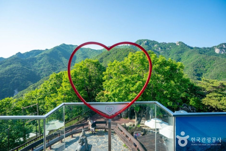 팔공산 케이블카 여행 추천 - 메고지고