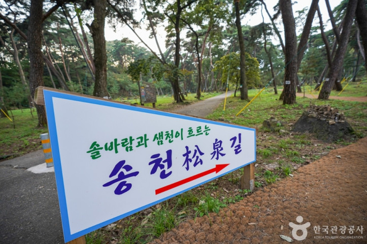 은해사(영천) 여행 추천 - 메고지고