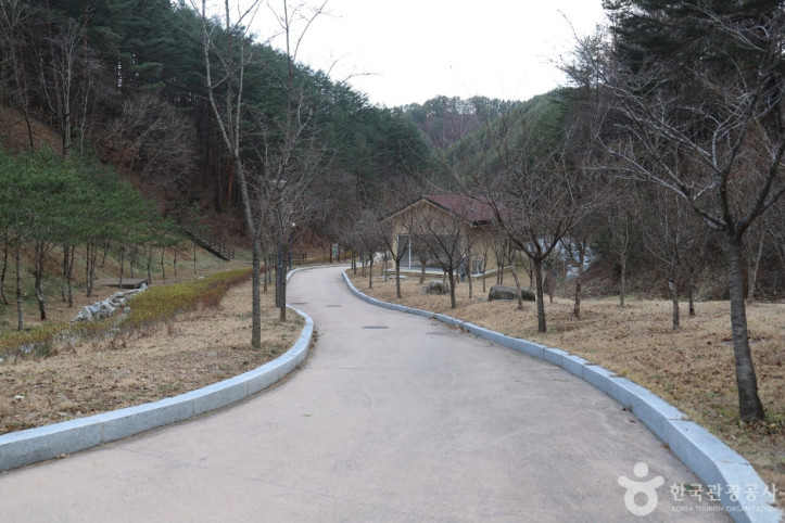 금강송 에코리움 여행 추천 - 메고지고