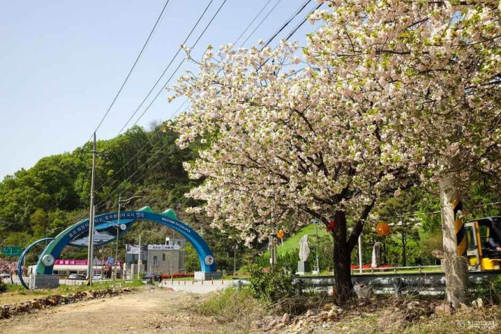 동명지수변생태공원 여행 추천 - 메고지고