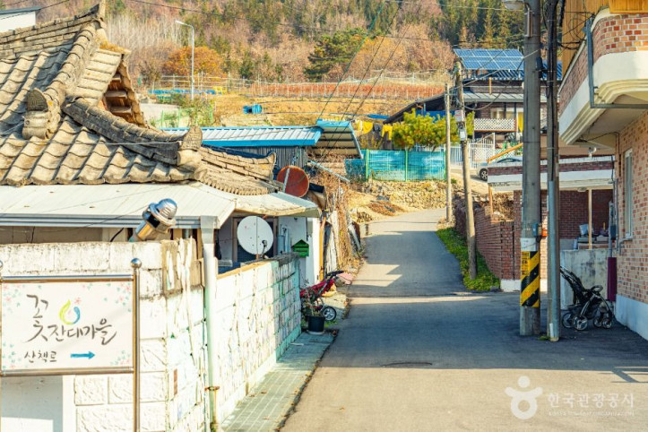 원연장 꽃잔디마을 여행 추천 - 메고지고
