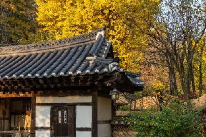 한국민속촌 여행 추천 - 메고지고