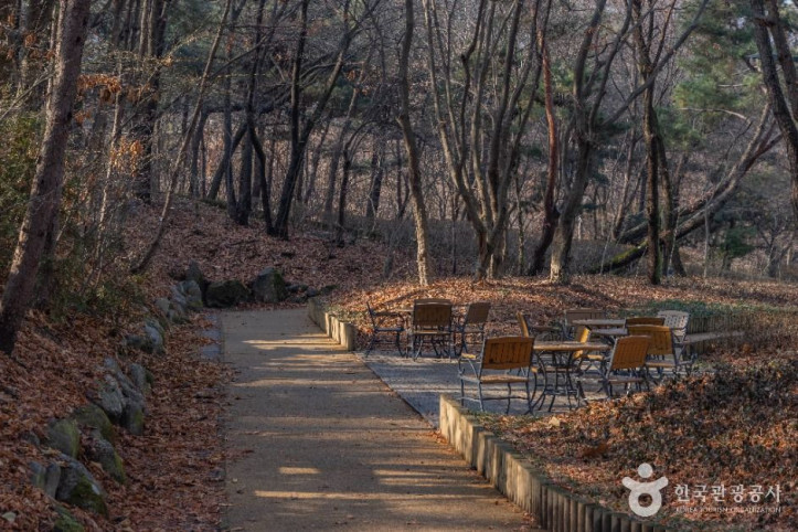 대모산도시자연공원 여행 추천 - 메고지고