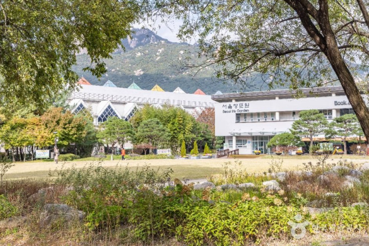 서울창포원 여행 추천 - 메고지고