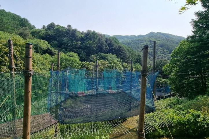 놀자숲 여행 추천 - 메고지고